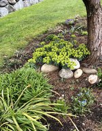 IMG_1610.jpeg