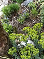 IMG_1606.jpeg