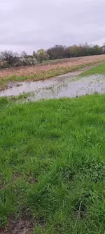 20240329_125632.webp