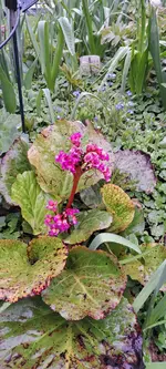 20240329_121817.webp