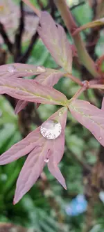20240329_121913.webp
