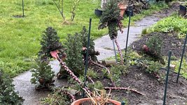 IMG_9458.jpeg