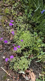 IMG_9435.webp