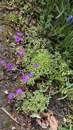 IMG_9435.jpeg
