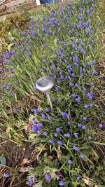 IMG_9433.jpeg