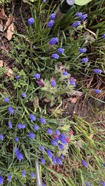 IMG_9434.jpeg