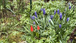 IMG_9464.jpeg