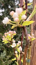 IMG_9470.jpeg
