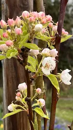 IMG_9475.webp