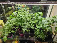 20240329_192120.webp
