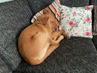 IMG_0454.jpeg