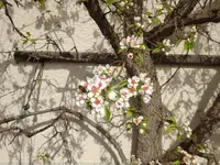 DSC03334.webp