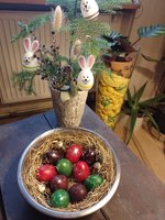 IMG_20240330_164508.jpg
