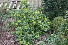 März    3624.webp