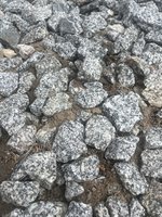 IMG_0049.jpeg