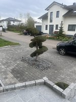 IMG_0052.jpeg