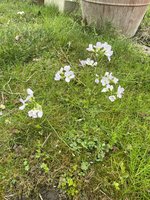 IMG_2448.jpeg
