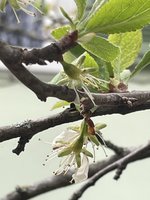 IMG_2465.jpeg