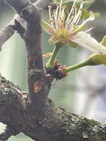 IMG_2466.jpeg