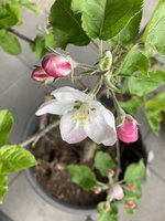 IMG_4012.jpeg