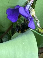 IMG_4028.jpeg