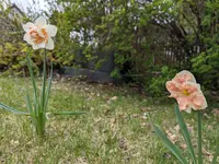 PXL_20240401_140510811.webp