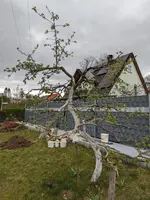 PXL_20240401_140559573.webp