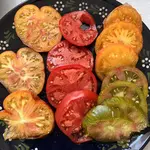 IMG_3548.jpeg