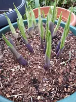 20240329_161642.webp