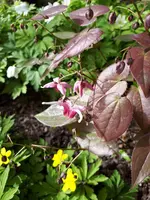 20240330_135652.webp