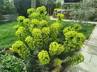 IMG_20240403_121330.webp
