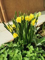 IMG_20240403_121216.jpg