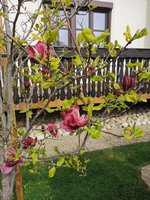IMG_20240331_151523.jpg