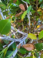 20230929_173105.webp