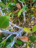 20230929_173105.jpg