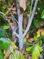 20230929_173054.webp