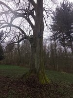 IMG_20240404_101723.jpg