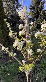 IMG_9546.jpeg