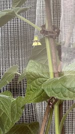 IMG_9543.jpeg