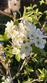 IMG_9547.jpeg