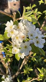 IMG_9547.jpeg