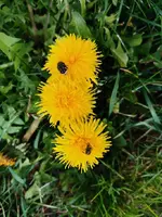 IMG_20240404_160628.webp