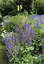 IMG_8941.jpeg