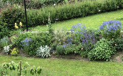 IMG_8943.jpeg