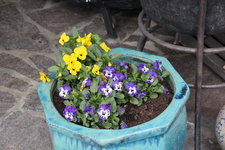 April    0424.JPG