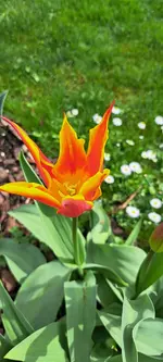 20240405_142348.webp