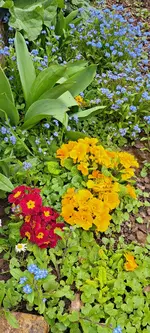 20240405_133740.webp