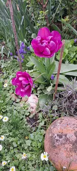 20240405_133700.webp