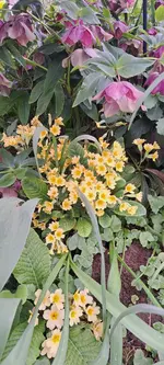20240405_133527.webp