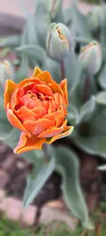 20240405_133241.webp